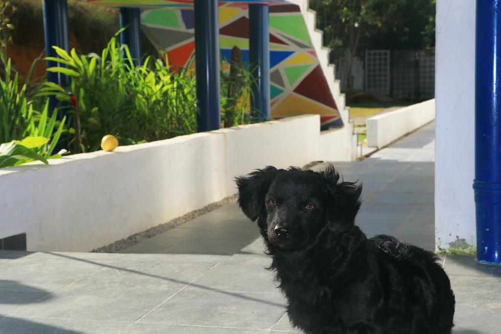 Cristama Residence Inn Ubatuba Εξωτερικό φωτογραφία